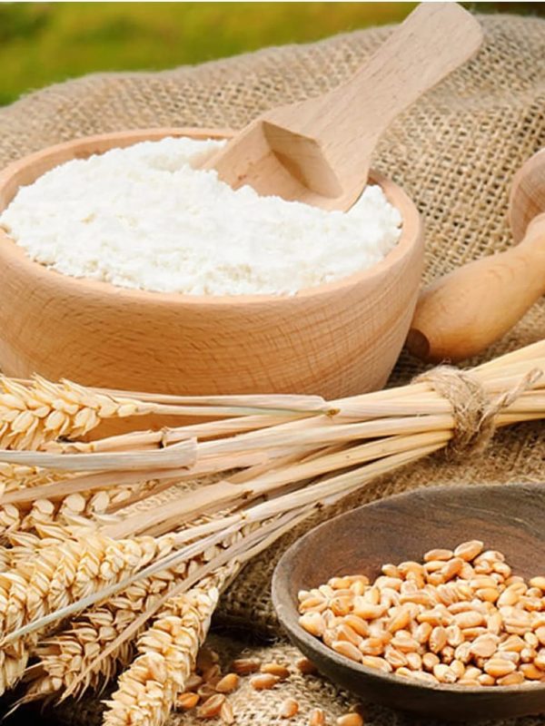 WhatsApp Image 2025-02-05 at 9.32.50 PM (1)