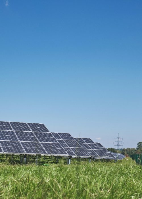 WhatsApp Image 2025-02-06 at 1.24.08 PM